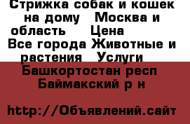 Стрижка собак и кошек на дому.  Москва и область.  › Цена ­ 1 200 - Все города Животные и растения » Услуги   . Башкортостан респ.,Баймакский р-н